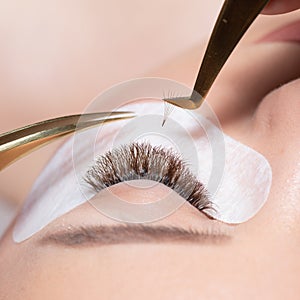 Eyelash Extension Procedure. Woman Eye with Long Eyelashes