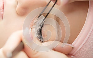 Eyelash Extension Procedure. Woman Eye with Long Eyelashes.