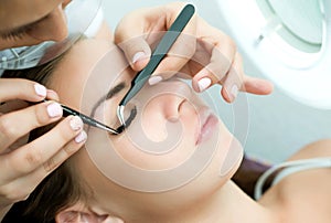 Eyelash Extension Procedure. Woman Eye with Long Eyelashes.