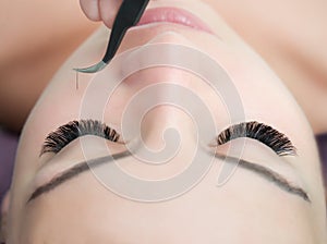 Eyelash Extension Procedure. Woman Eye with Long Eyelashes.