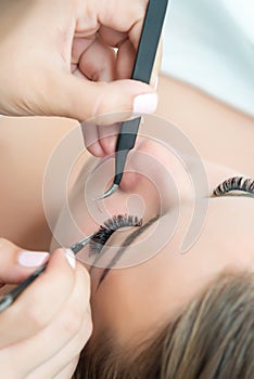 Eyelash Extension Procedure. Woman Eye with Long Eyelashes.