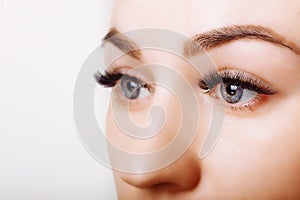 Eyelash Extension Procedure. Woman Eye with Long Eyelashes. Close up, selective focus.