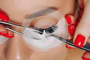 Eyelash Extension Procedure. Woman Eye with Long Eyelashes. Close up, selective focus.