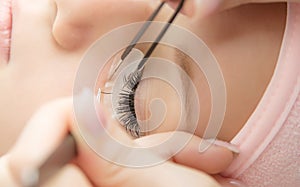 Eyelash Extension Procedure. Woman Eye with Long Eyelashes. photo