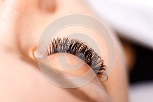 Eyelash Extension Procedure. Woman Eye with Long Eyelashes. Lashes, close up, macro, selective focus.