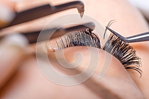 Eyelash Extension Procedure. Woman Eye with Long Eyelashes. Lashes, close up, macro, selective focus.