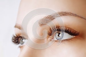 Eyelash Extension Procedure. Woman Eye with Long Eyelashes. Close up, selective focus. photo