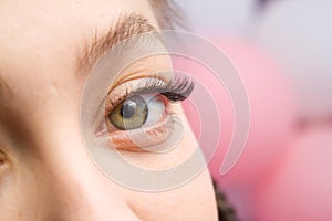 Eyelash Extension Procedure. Woman Eye with Long false Eyelashes. Close up macro shot of fashion eyes visagein in beauty salon