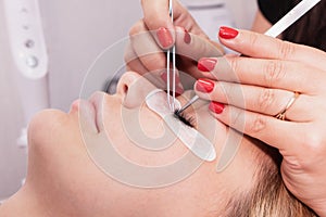 Eyelash Extension Procedure. Woman Eye with Long false Eyelashes. Closeup macro shot of fashion eyes in beauty salon