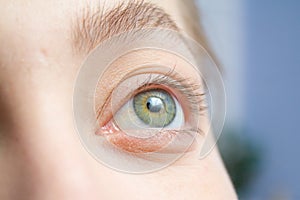 Eyelash Extension Procedure. Woman Eye before procedure without Long false Eyelashes. Close up macro shot of eye in beauty salon