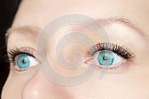 Eyelash extension procedure - woman fashion eyes with long false eyelashes close up, beauty, make up and visage concept