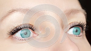 Eyelash extension procedure - woman fashion eyes with long false eyelashes close up, beauty, make up and visage concept