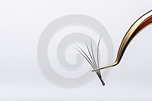 Eyelash Extension tools on white background. Accessories for eyelash extensions. Artificial lashes. 4D, closeup