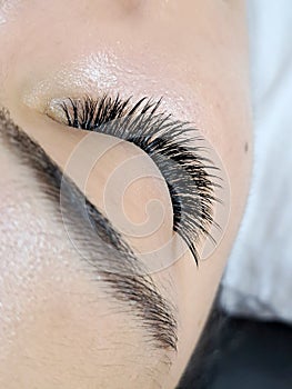 Eyelash extensions in beauty salon macro eye