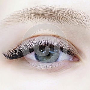 Eyelash extensions photo