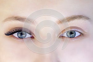 Eyelash extensions. photo