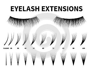 Eyelash extensions. Curling extension volume eyelashes, tweezer tool guide fake lash. Artificial lashes template makeup photo