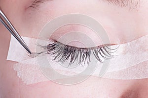 Eyelash extensions in the salon photo