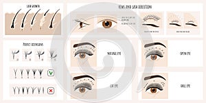 Eyelash growth, eyelash extensions types and styles. Illustration with instructions and guides for lash masters.