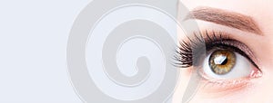 Eyelash lamination, extensions, microblading, tattoo, permanent, cosmetology, ophthalmology banner or background. Eye with long