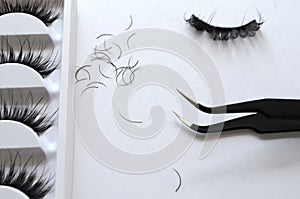 Eyelash one cilium machinery