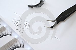 Eyelash one cilium machinery