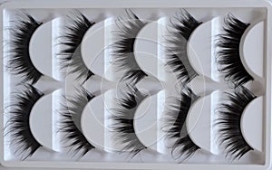 Eyelash one cilium machinery