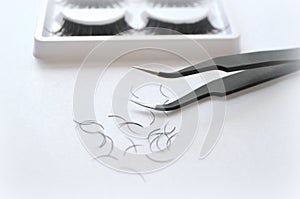 Eyelash one cilium machinery