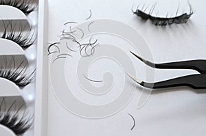 Eyelash one cilium machinery