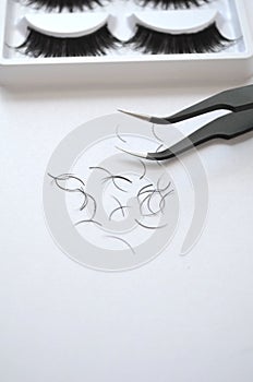 Eyelash one cilium machinery