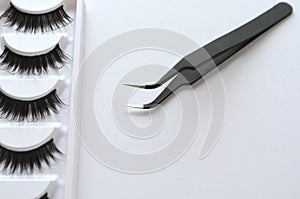 Eyelash one cilium machinery