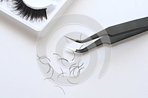 Eyelash one cilium machinery