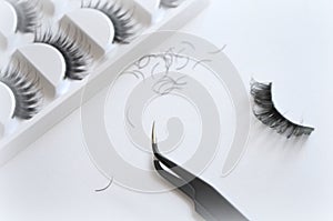 Eyelash one cilium machinery