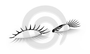 Eyelashes 3d illustration