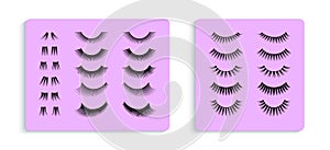 Eyelashes artificial set vector illustration. 3d false eyelash collection for lashmakers design, extensions, lamination