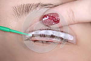 Eyelashes close-up at the time of the care procedure in the beauty salon