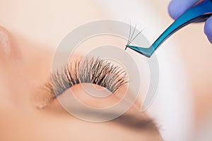 Eyelashes extensions. Fake Eyelashes. Eyelash Extension Procedure. Professional stylist lengthening female lashes