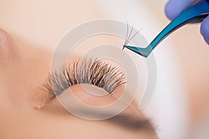 Eyelashes extensions. Fake Eyelashes. Eyelash Extension Procedure. Professional stylist lengthening female lashes