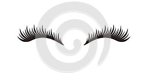 Eyelashes on white background, vector illustration. photo