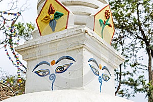 Eyes of Buddha