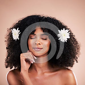 Eyes closed, face and black woman with flowers for hair care in studio isolated on brown background. Floral cosmetics