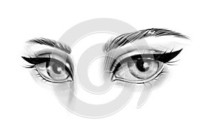 Eyes with extra long lashes isolated sketch. Eyes with beautiful thick eyebrows. Hand drawn fashion illustration. Black and white