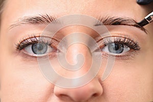 Eyes and eyebrows of a young woman while coloring eyebrows in a beauty salon