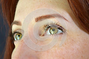Eyes of girl with red hair and green eyes with freckles with eyelash extensions on dark background looking up