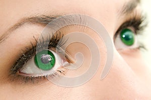 Occhi verde 