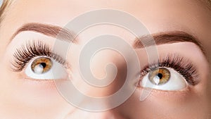 Eyes with long eyelashes. Classic 1D, 2D eyelash extensions and light brown eyebrow close up. Eyelash extensions, lamination,