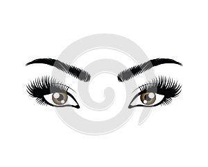 eyes with long eyelashes vector illustration