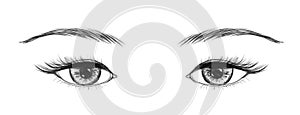 Eyes made in hand drawn technique. Vector illustration.