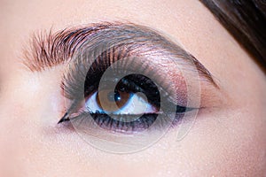 Eyes with make up close up. Makeup closeup. Eyebrow long eyelashes. Beauty salon. Beautiful macro female eye with long