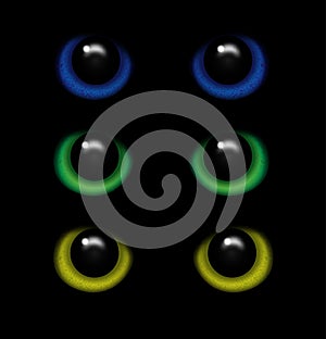 Eyes of a wild animal in the darkness vector